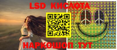гидропоника Камышлов