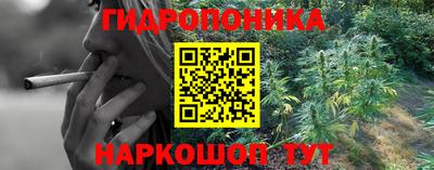 гидропоника Камышлов