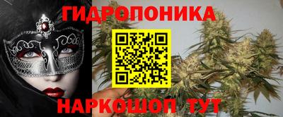 гидропоника Камышлов