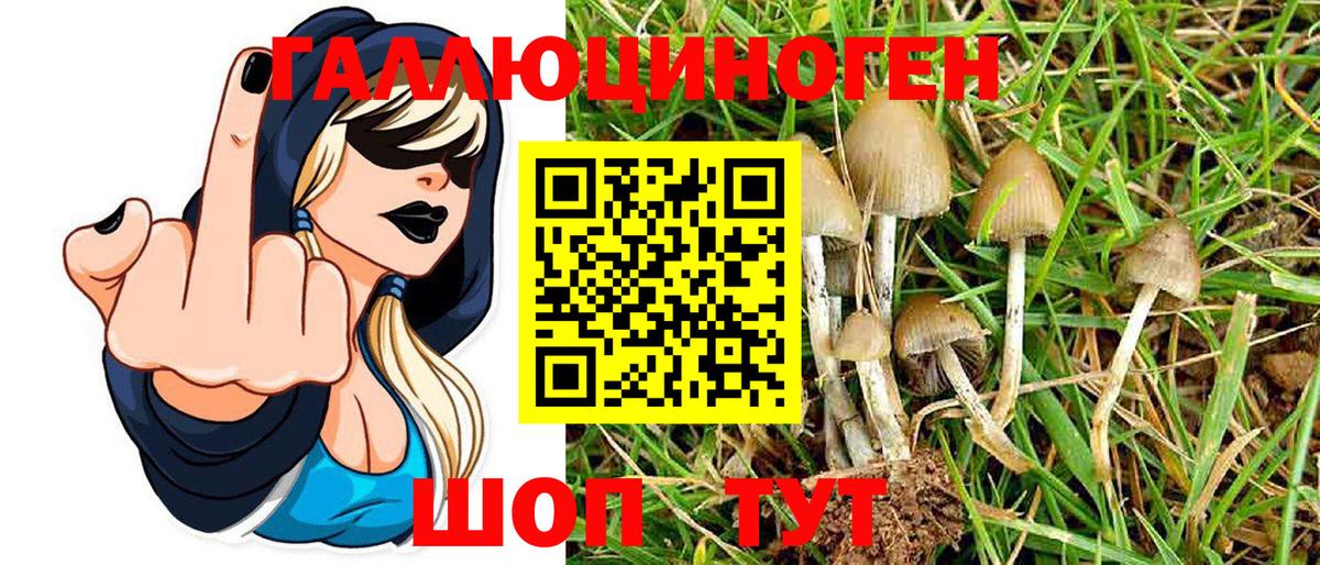 Галлюциногенные грибы MAGIC MUSHROOMS  Вход с VPN  Кудымкар 